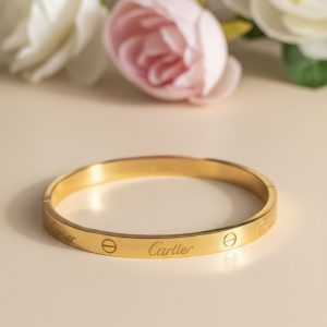 Stainless steel cartier Iconic Gold Bangle